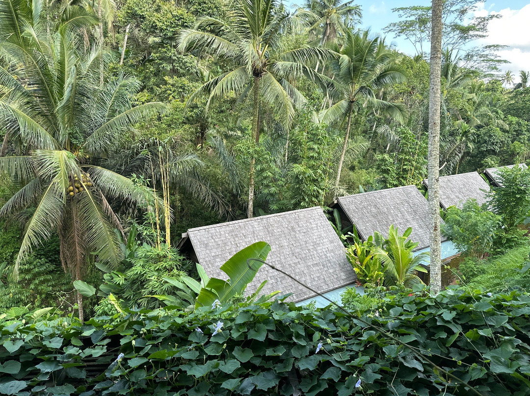 Hands of Sunitri: Authentic Balinese Massage