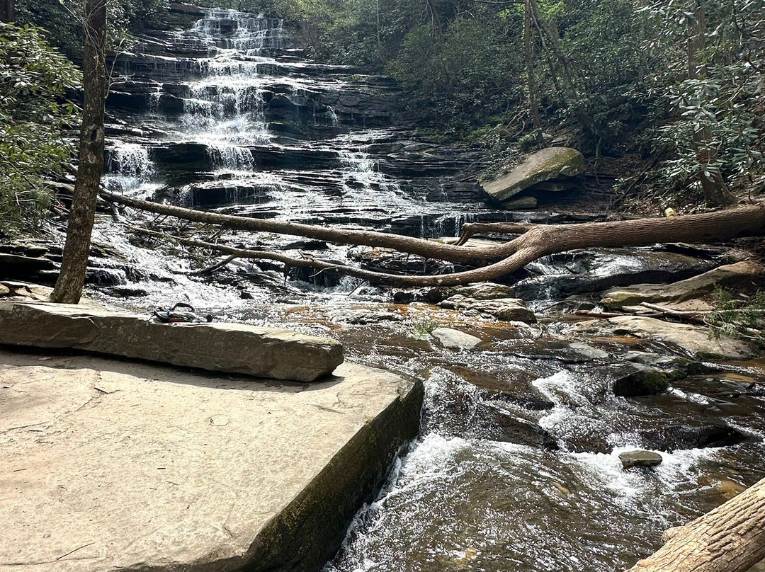 Minnehaha Falls-Lakemont必去景点