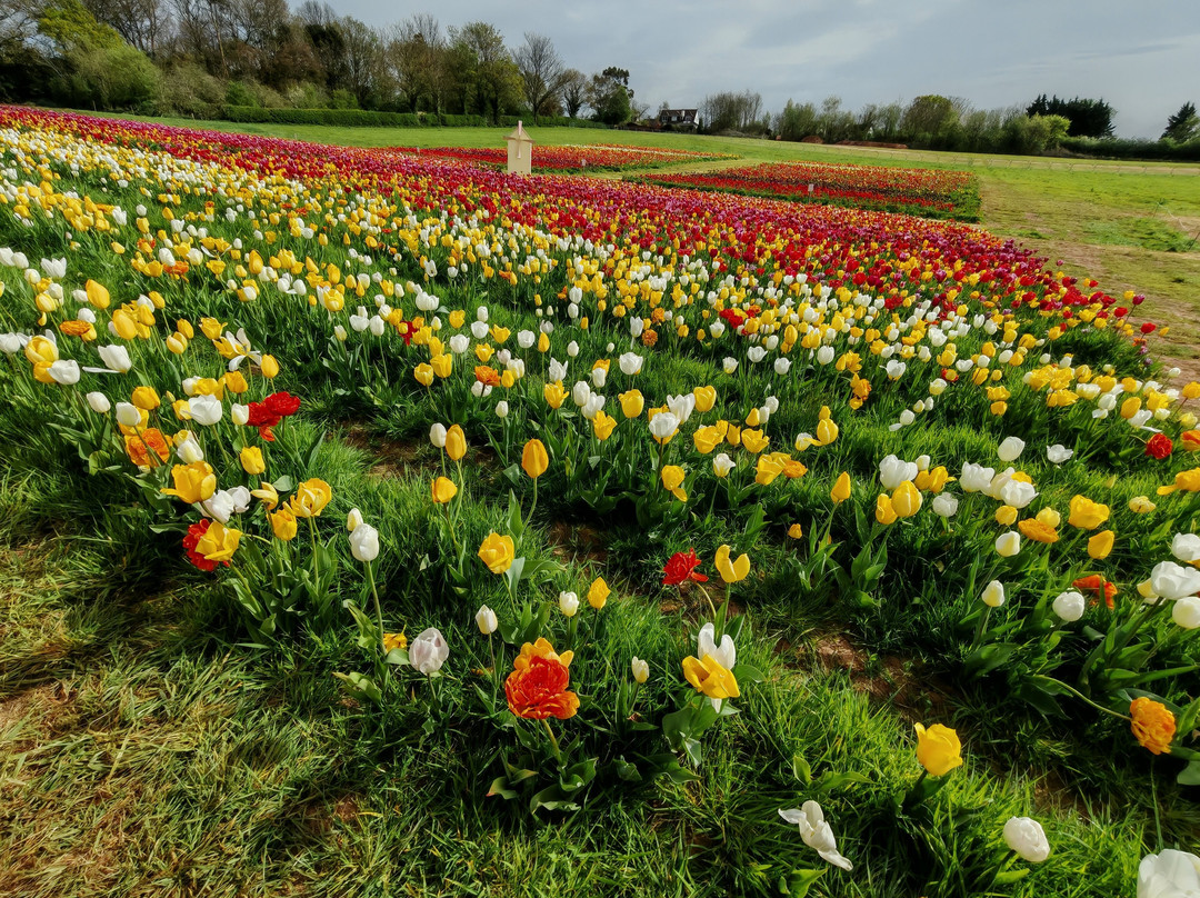 Darts Farm-Clyst Saint George必去景点