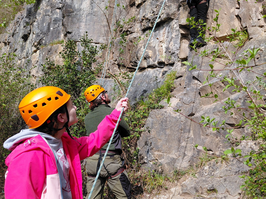 Forest Adventure Ltd-Coleford必去景点