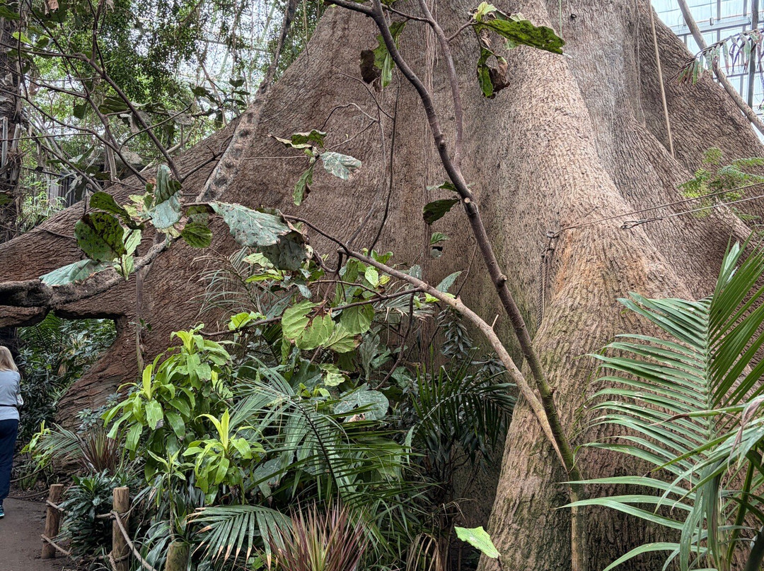 奥马哈亨利多立动物园-奥马哈必去景点