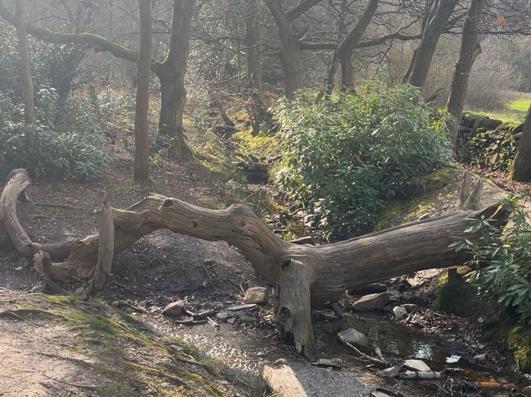 Beacon Hill Country Park-拉夫堡必去景点