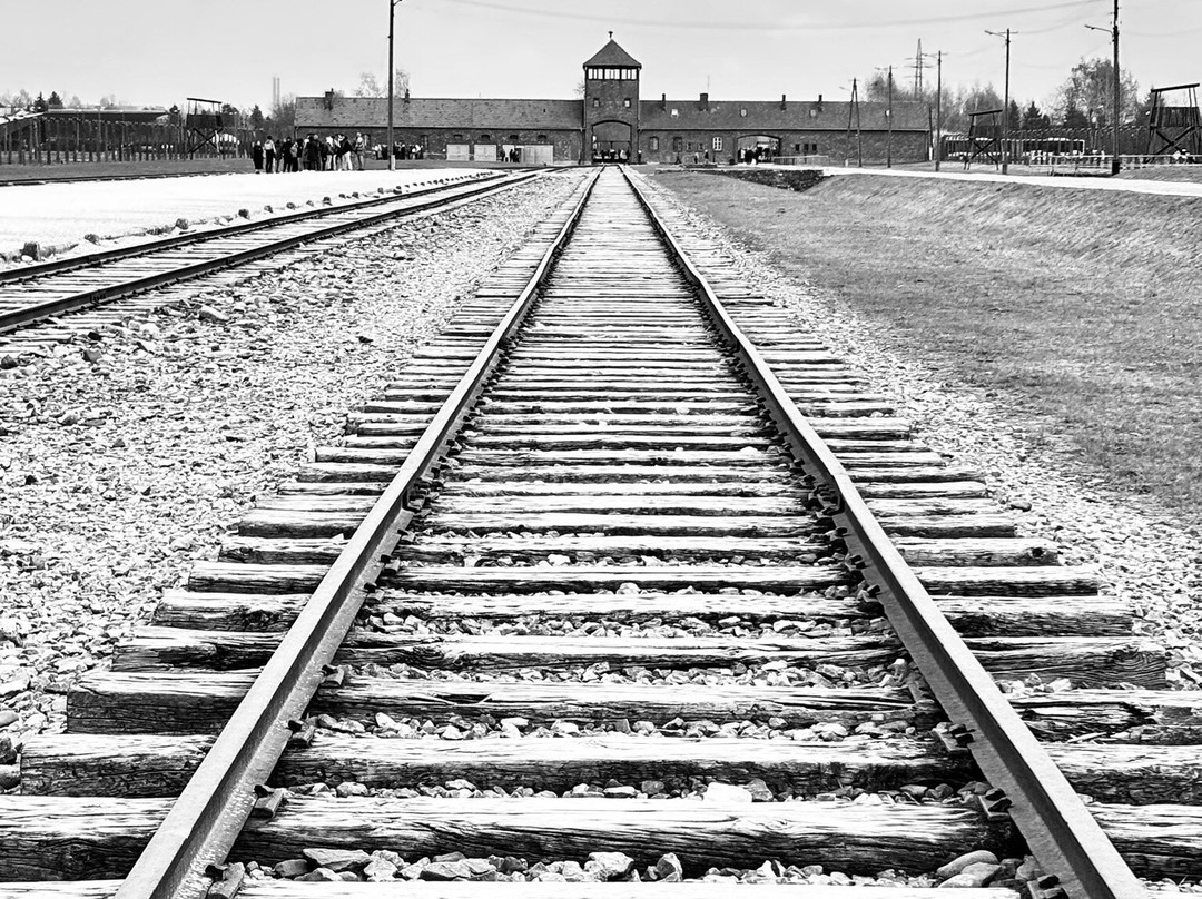 克拉特夫美特波罗-金色郁金香酒店旗下主图