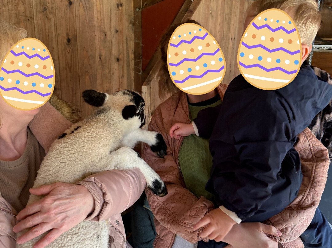 Hazel Brow Farm Visitor Centre-Low Row必去景点