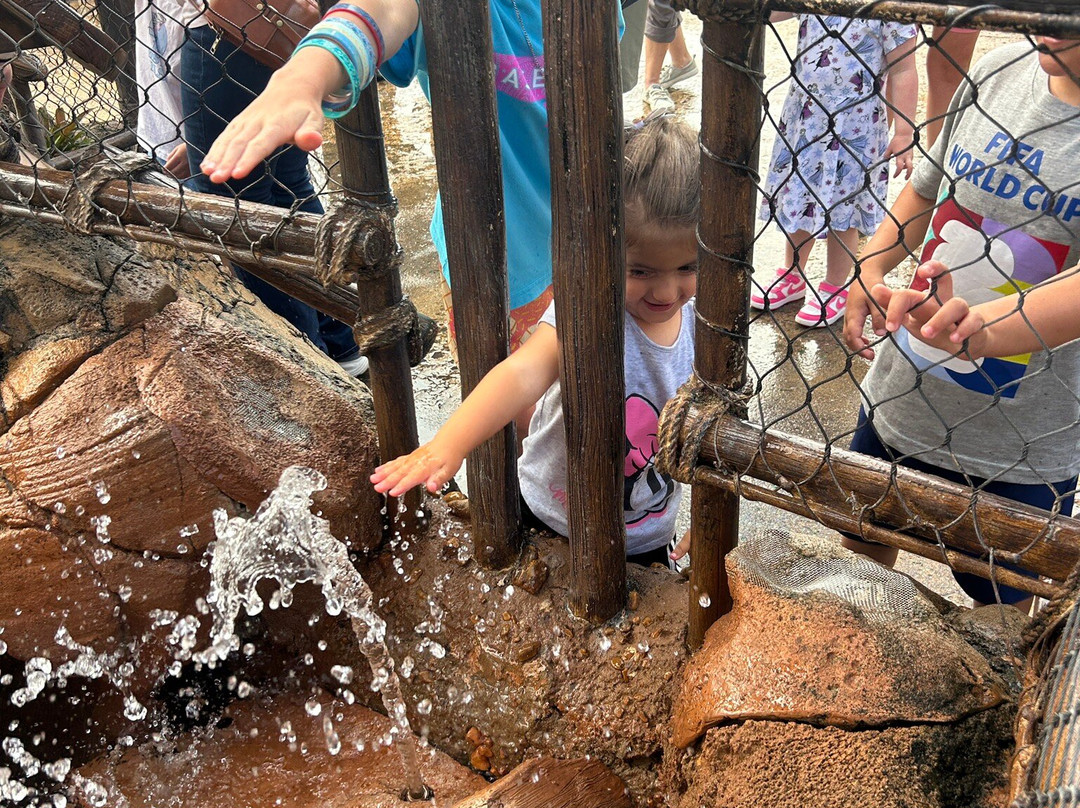 Journey Of Water, Inspired By Moana-Bay Lake必去景点