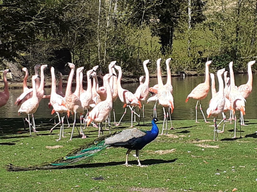 Le Parc de Clères-Cleres必去景点