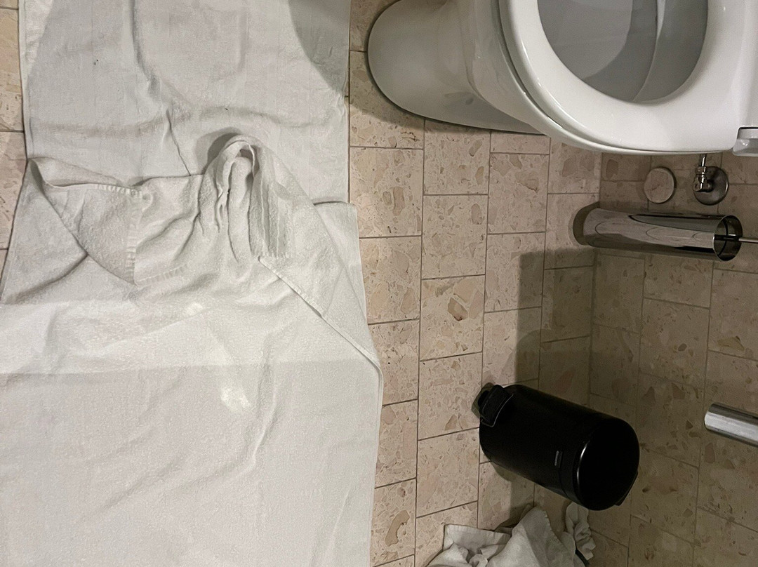 贝斯特韦斯特林克平酒店主图