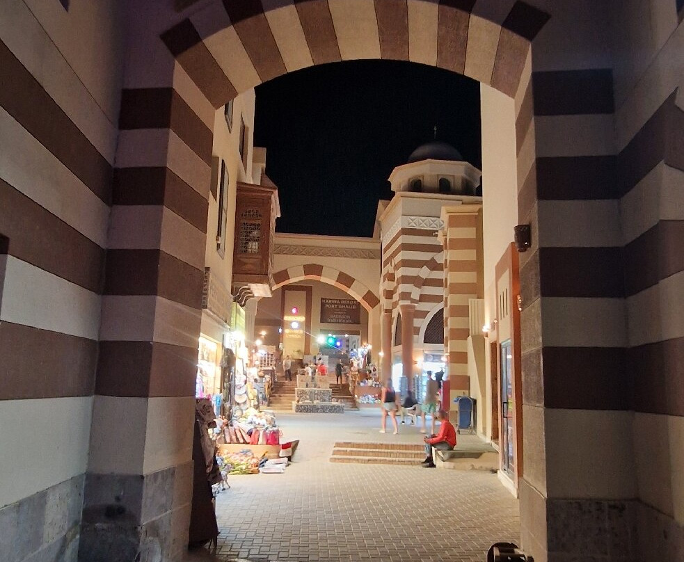 加利布港皮卡尔巴特罗斯绿洲酒店主图