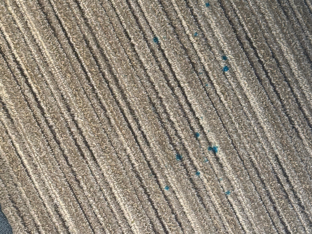 北福尔里弗智选假日酒店主图