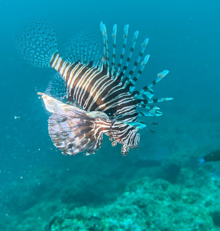 亚洲天堂浮潜-奈阳必去景点