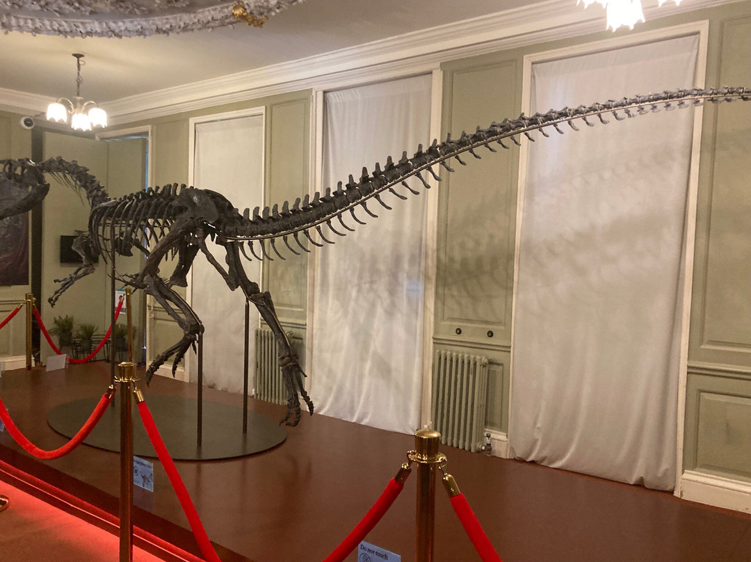 Hollytrees Museum-科尔切斯特必去景点