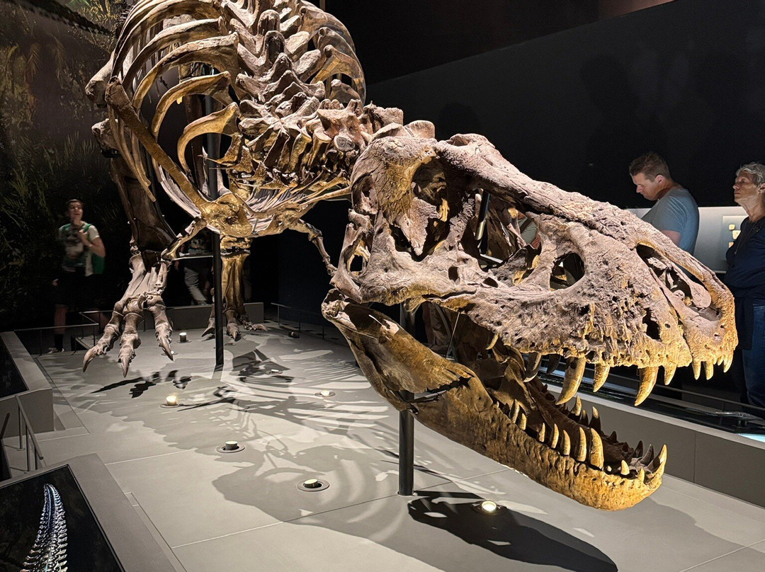 Naturalis Biodiversity Center-莱顿必去景点