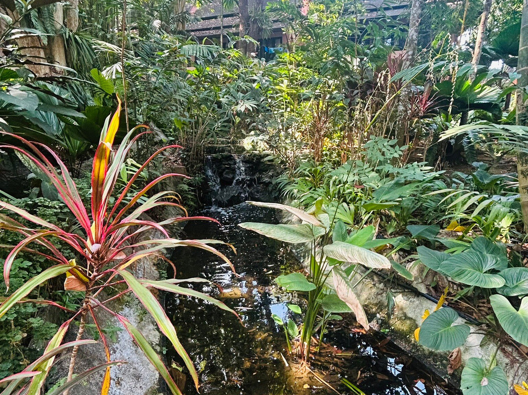 考拉梅林度假村主图