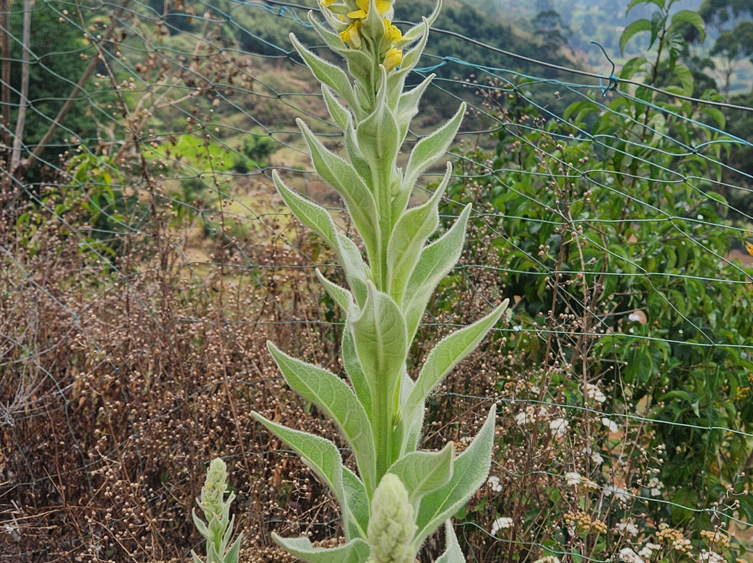 Amble with Anne-乌提必去景点