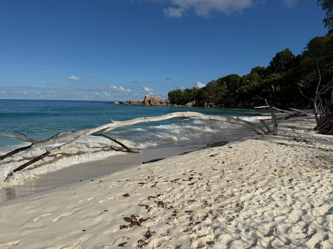 Caiman Beach Bar