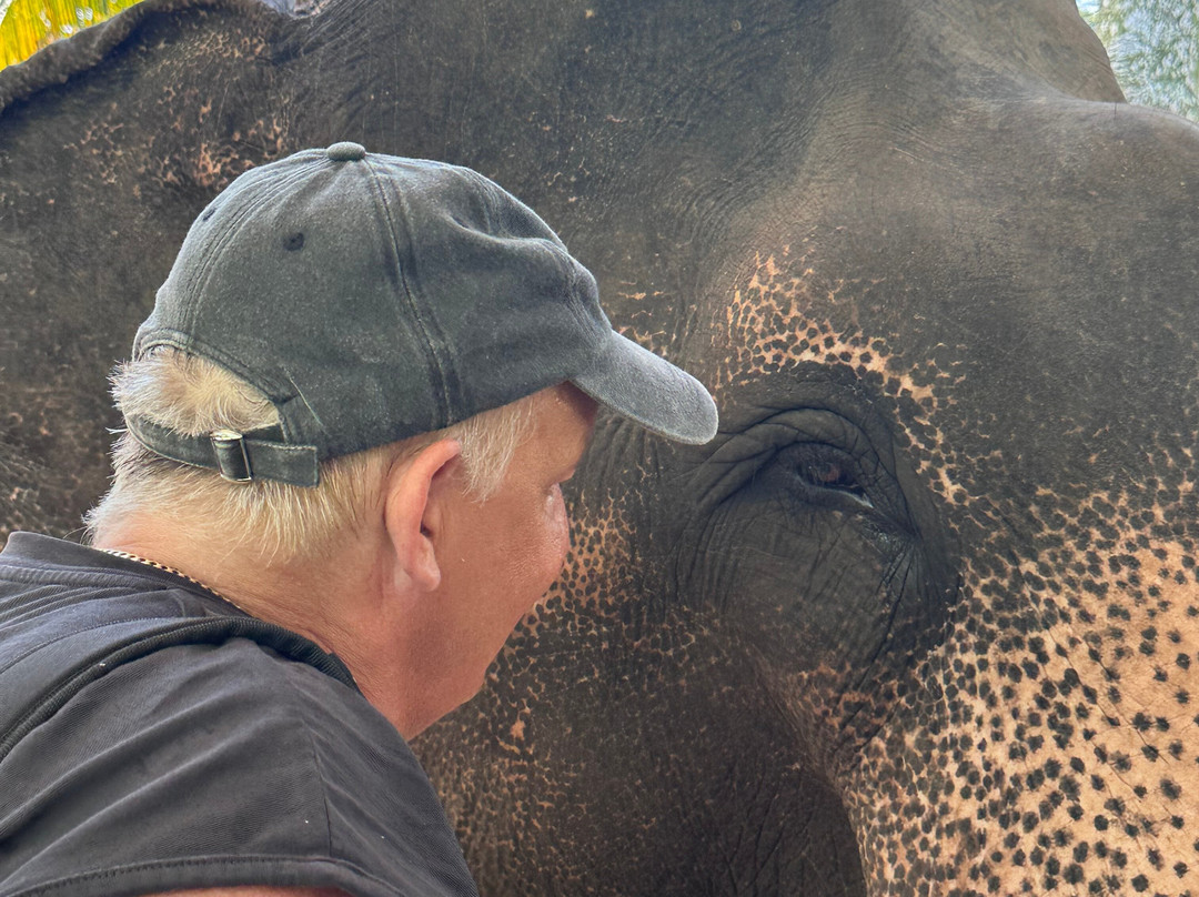 Charli Tours-亚洪加拉必去景点