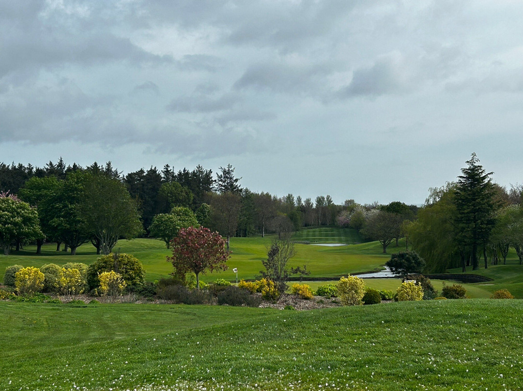德鲁伊兹格林度假酒店主图