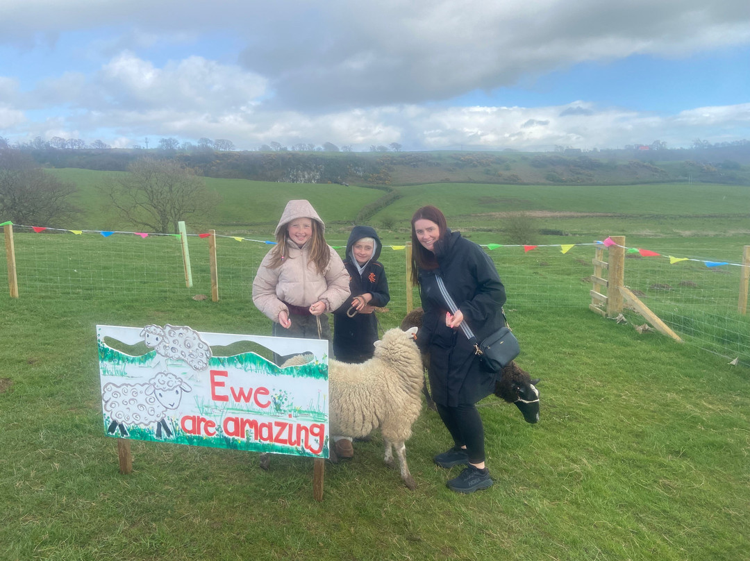 Craigbank Farm-Kilmarnock必去景点