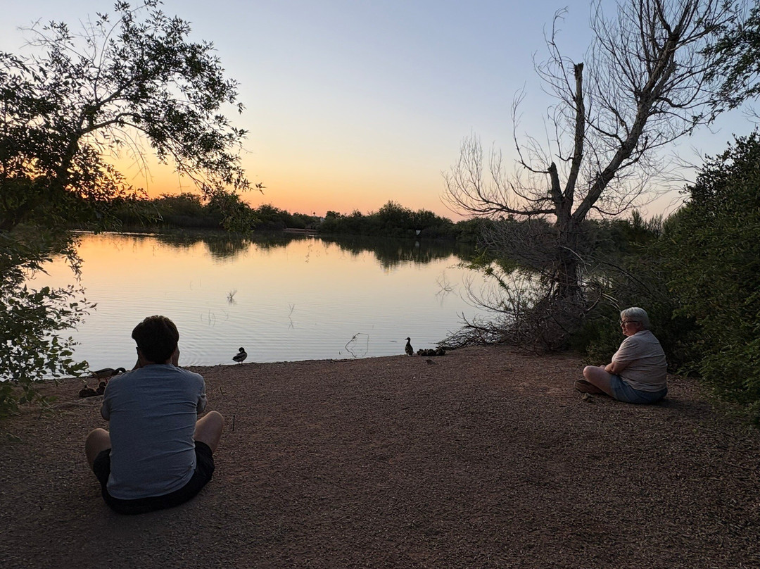 Riparian Preserve at Water Ranch-吉尔伯特必去景点