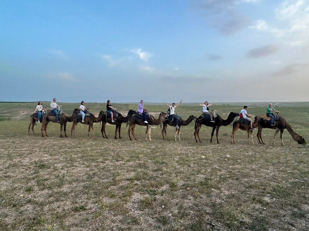 Authentic Travel Maroc - Private Day Tours-卡萨布兰卡必去景点