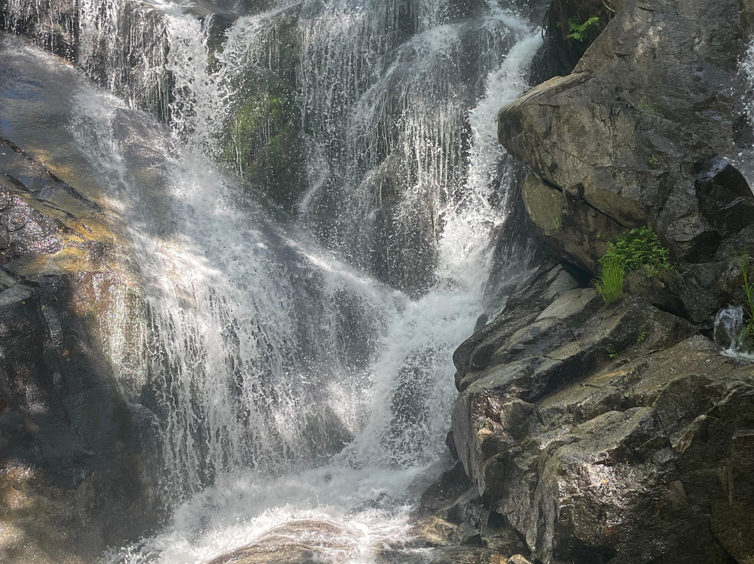 Cascadas de las Nogaledas-Navaconcejo必去景点