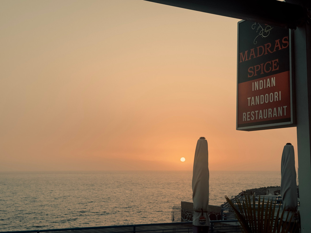 Madras Spice Indian Tandoori