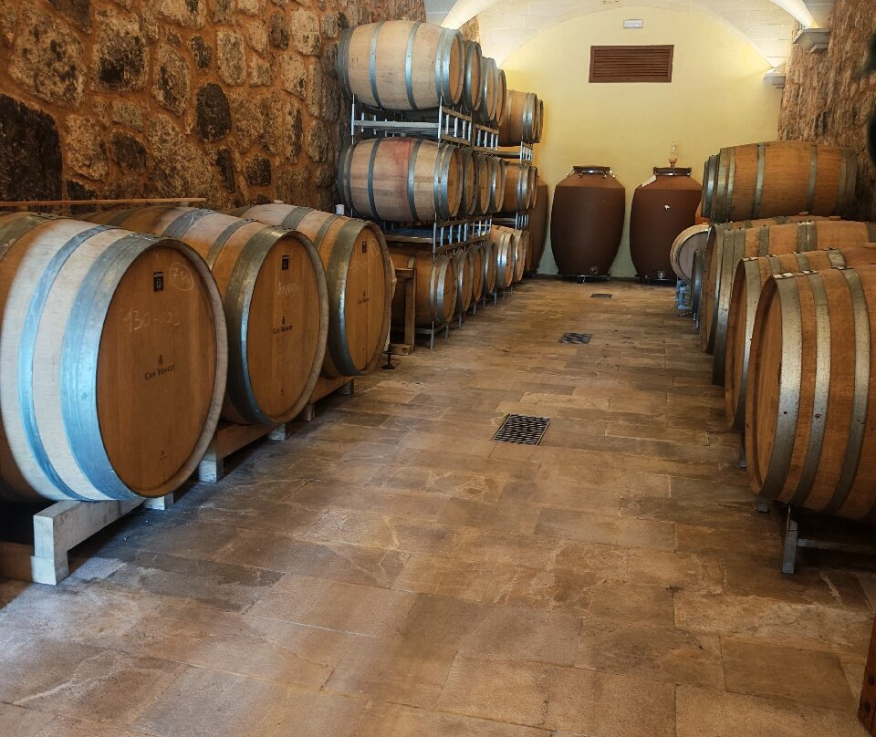 Bodegas Can Vidalet-Pollenca必去景点