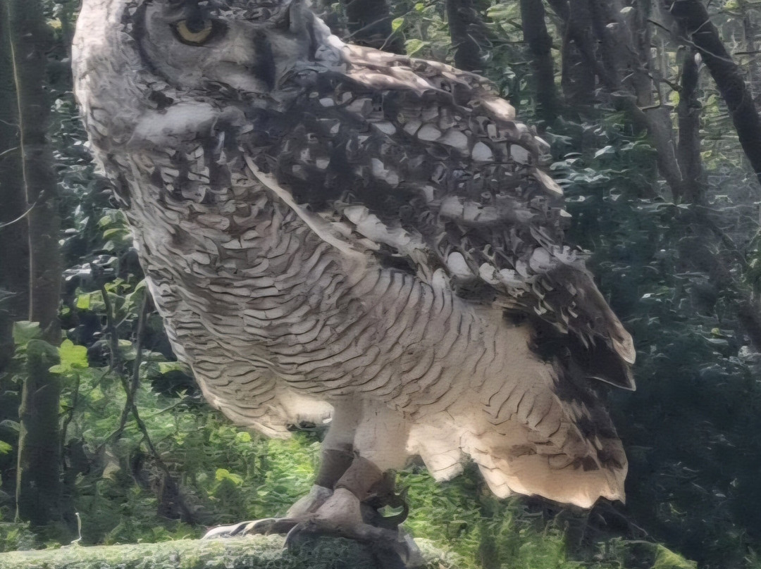 Loch Lomond Bird Of Prey Centre-Balloch必去景点