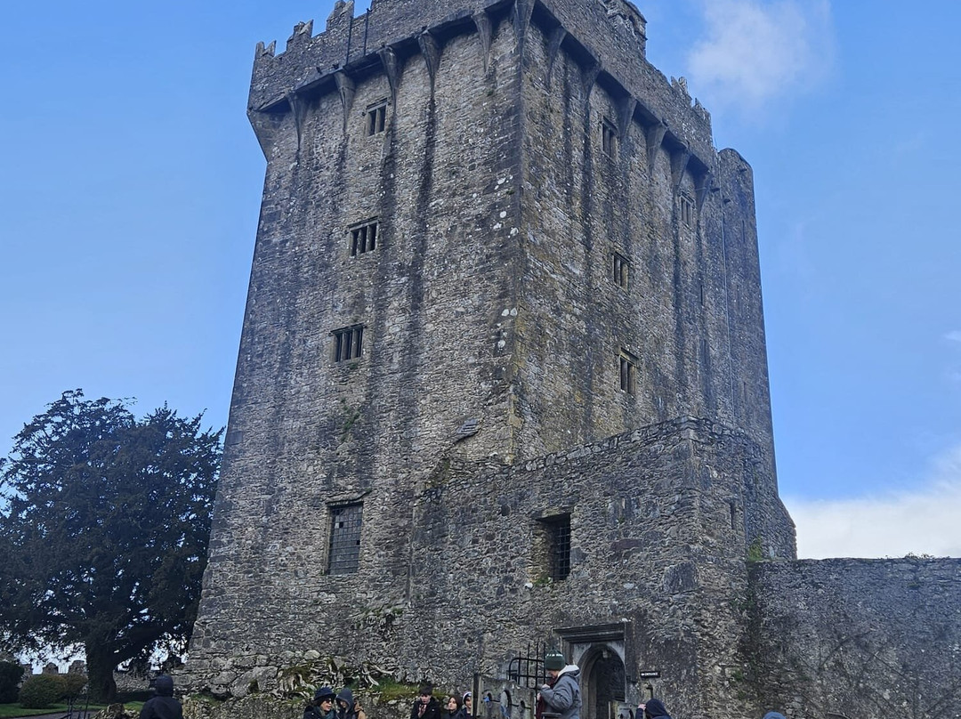Irish Experience Tours-科克必去景点