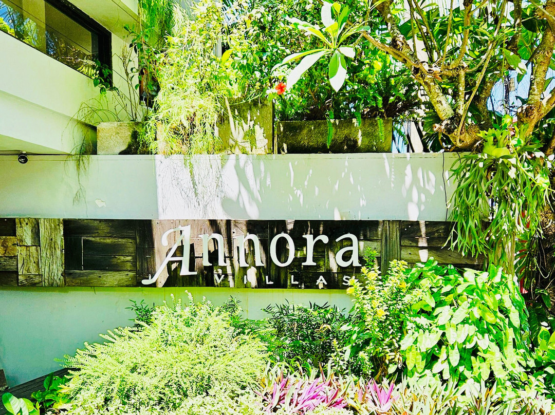 Annora Villas Seminyak主图