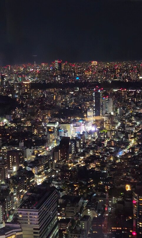 Shibuya Sky-涩谷区必去景点
