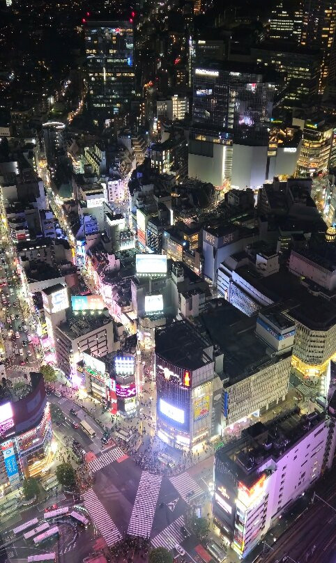 Shibuya Sky-涩谷区必去景点