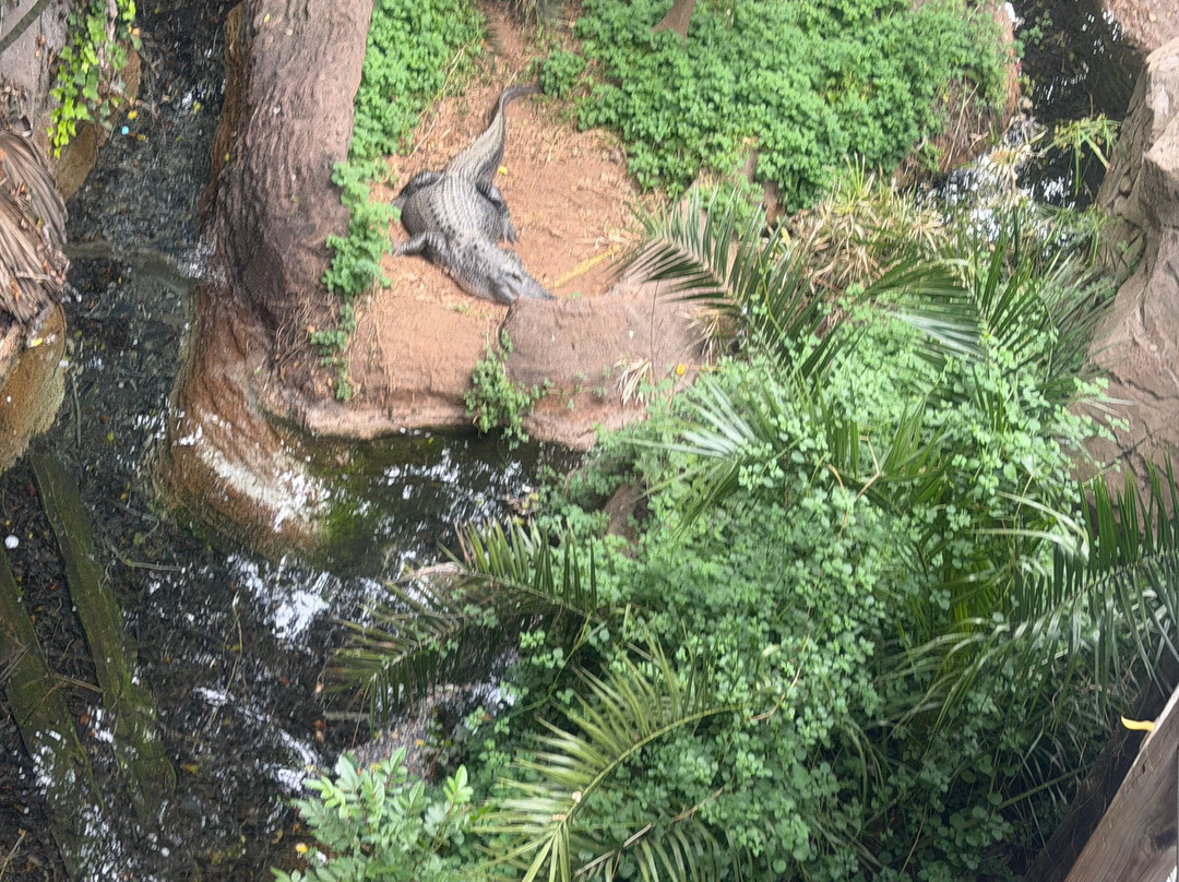 Park Las Aquilas Jungle Park-阿罗纳必去景点