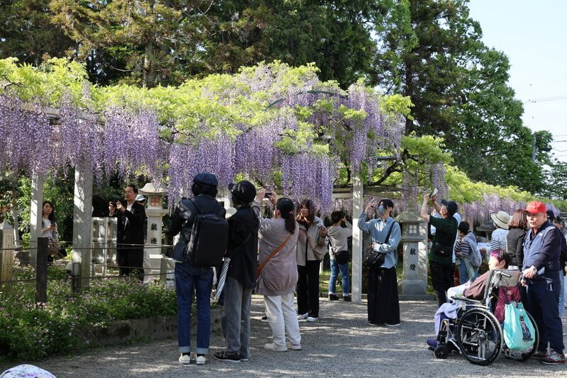 Sandai Shrine-草津市必去景点