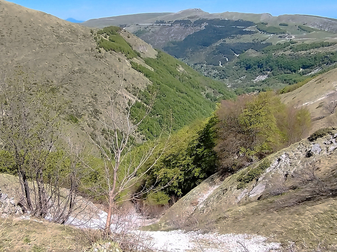 Bolognola Ski-Bolognola必去景点