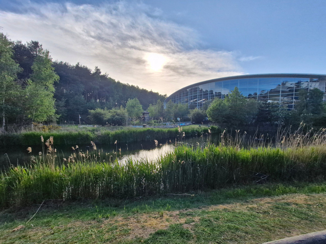 Center Parcs Woburn Forest主图