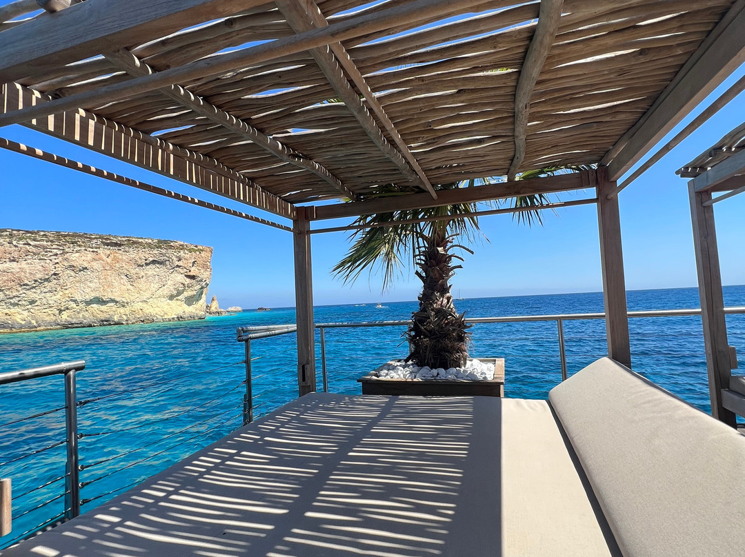 Noma Island-Marfa必去景点