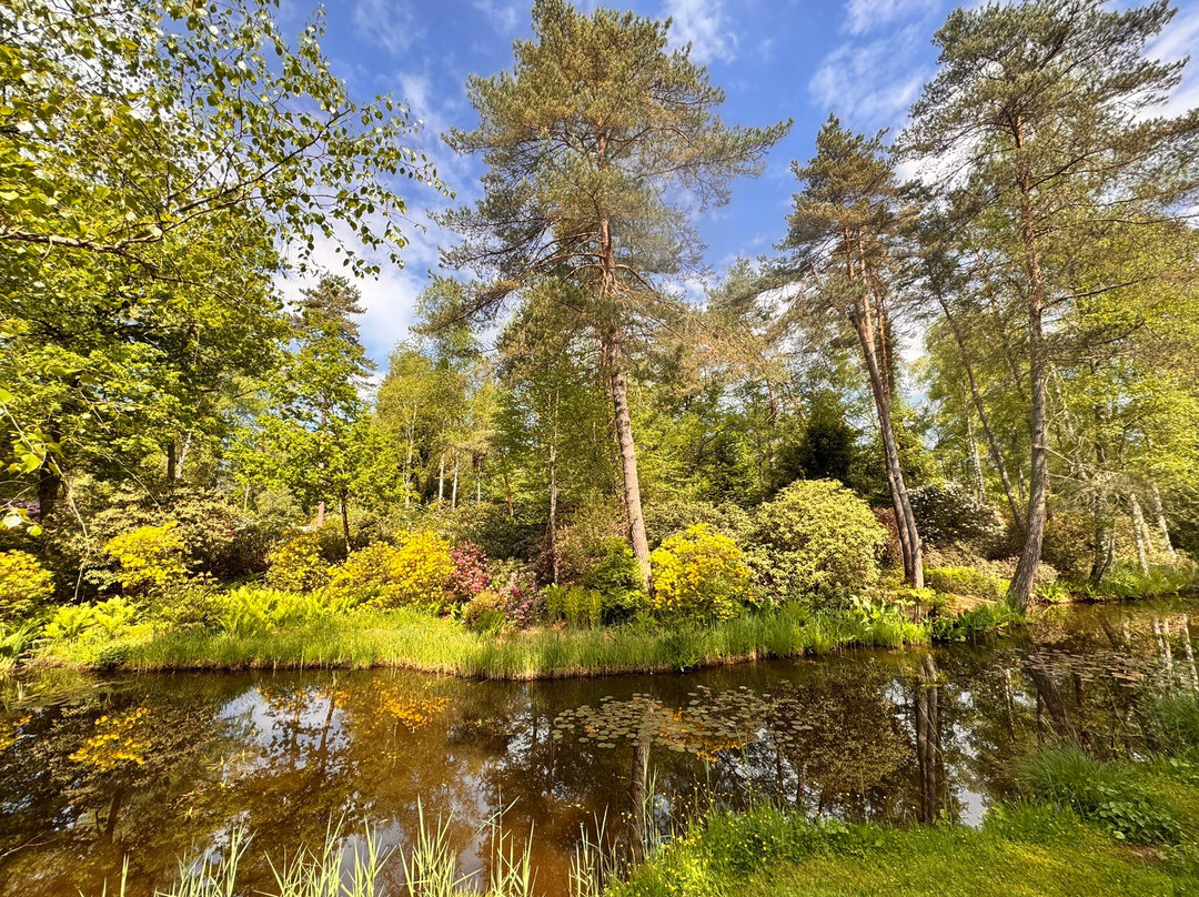 Park Seleger Moor-Rifferswil必去景点