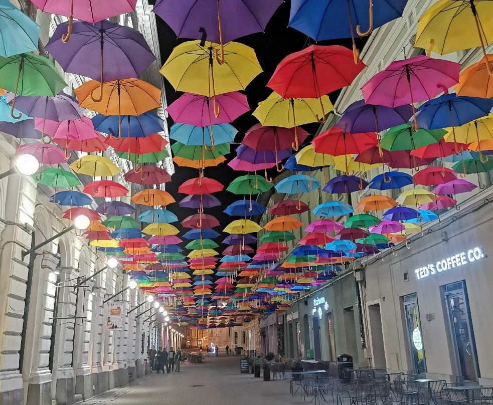 Timisoara Free Tours-蒂米什瓦拉必去景点