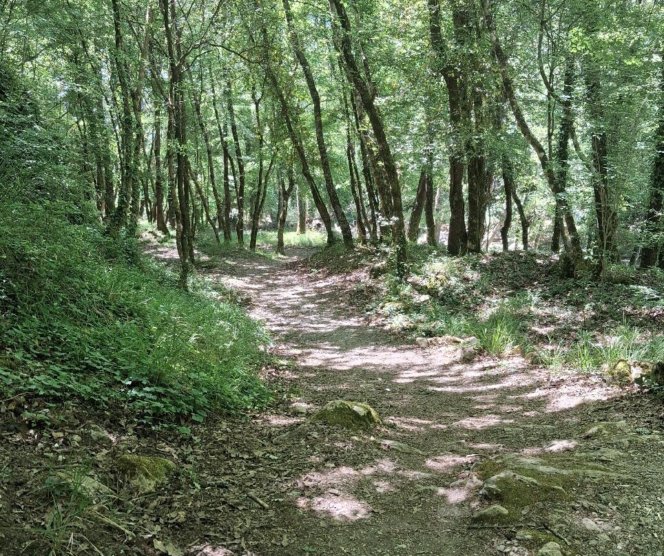Cascate Capelli di Venere-Casaletto Spartano必去景点