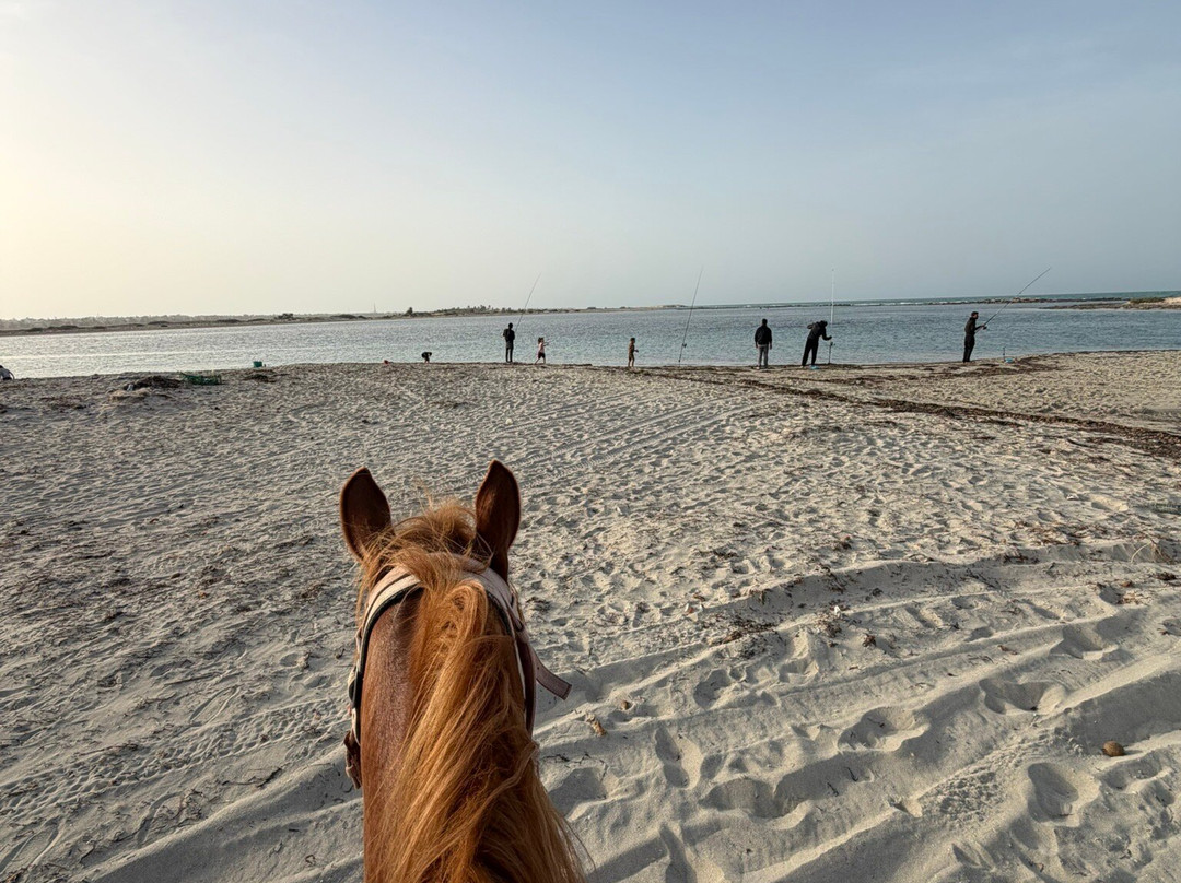 Ranch Yassmina Djerba La Douce-米栋必去景点