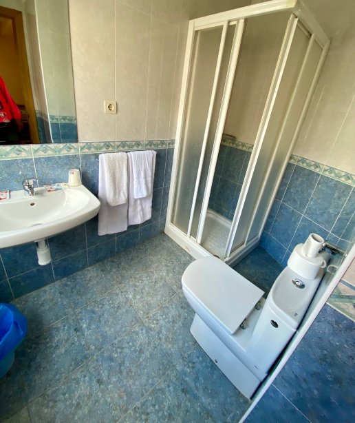 Pension Las Palmeras-旅行者