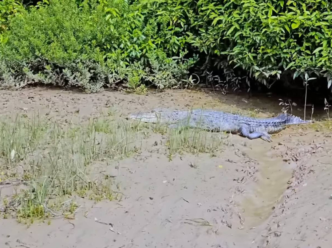 Bhitarkanika Wildlife Sanctuary-Bhitarkanika National Park必去景点