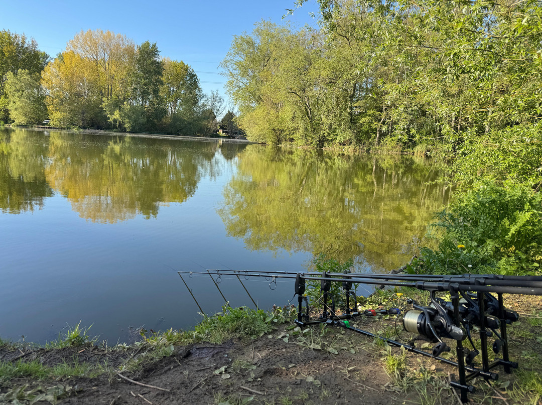 Broadlands Lakes Coarse Fishery-南安普敦必去景点