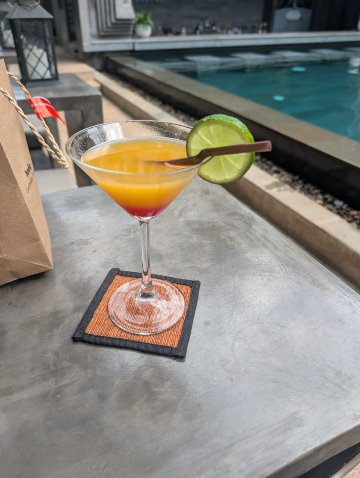 中央套房酒店-旅行者