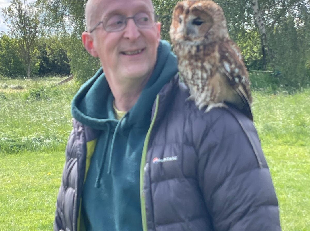 Bird on the Hand Falconry Experiences-Church Langton必去景点