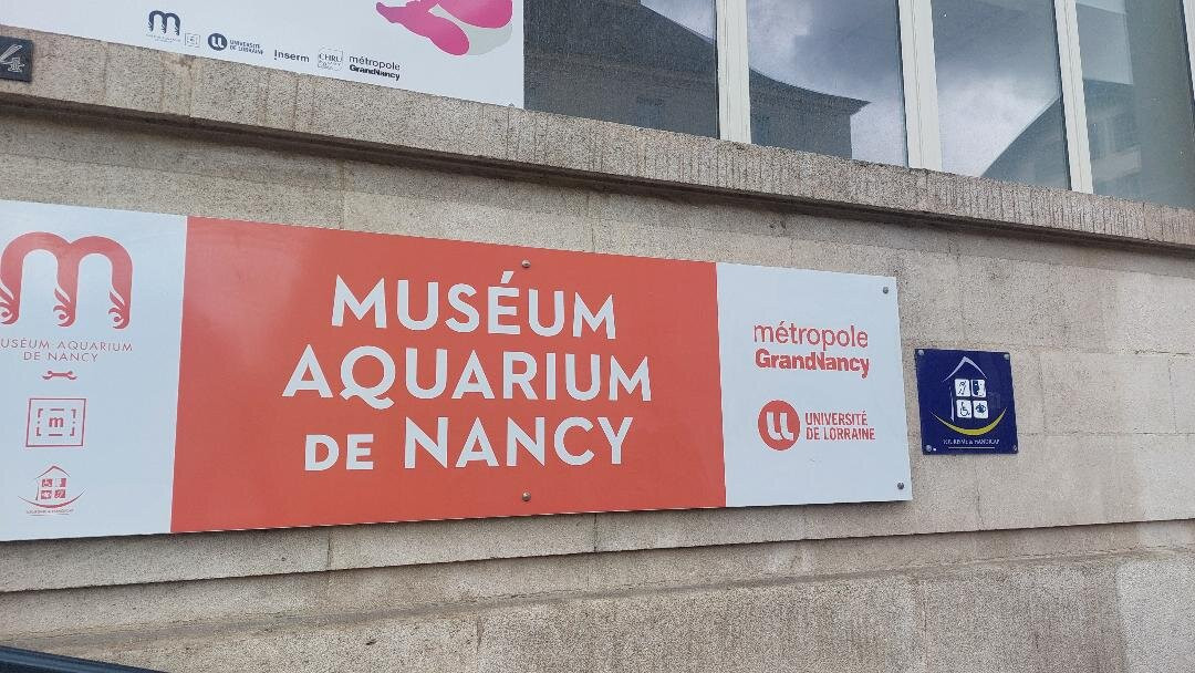 Muséum-Aquarium de Nancy-南锡必去景点
