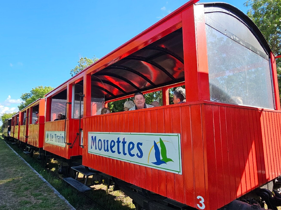 Le Train Des Mouettes-Saujon必去景点
