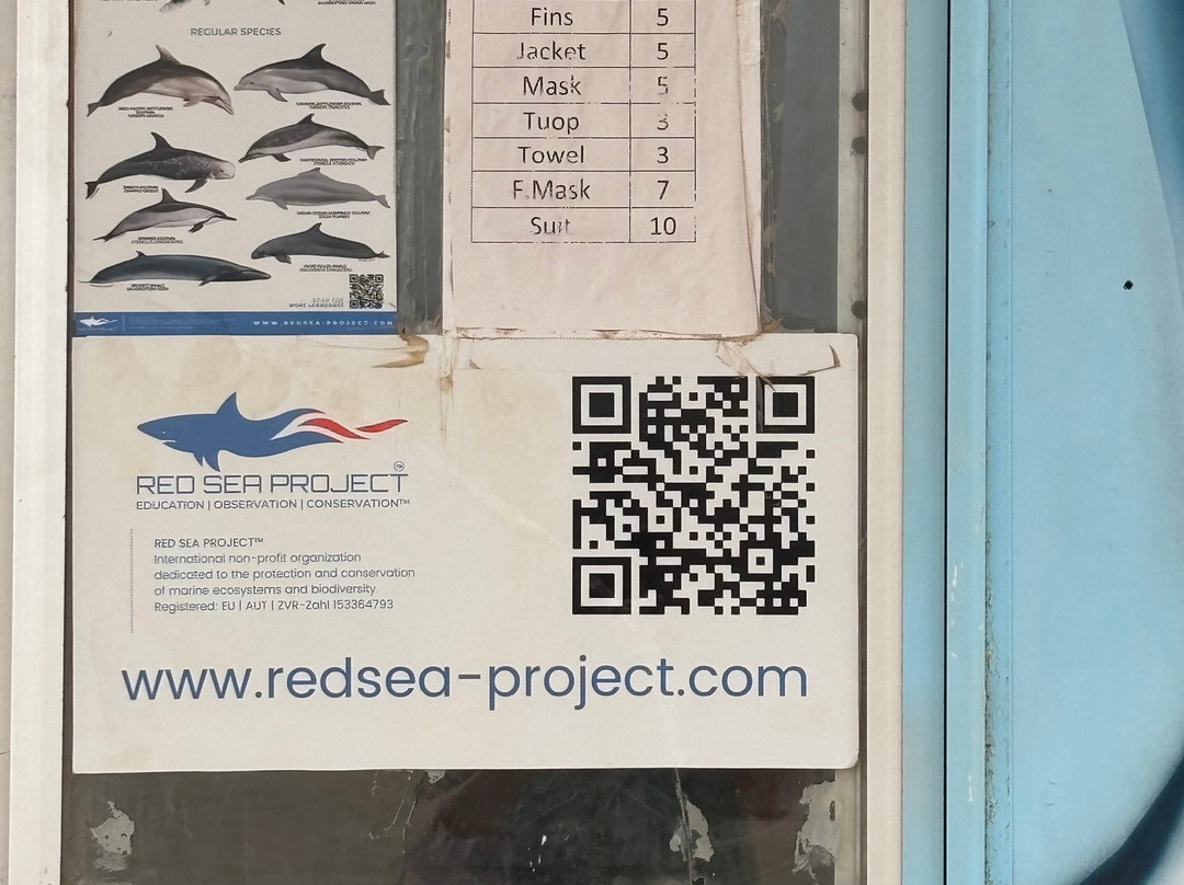 Marsa Alam City Taxi-马萨阿拉姆必去景点