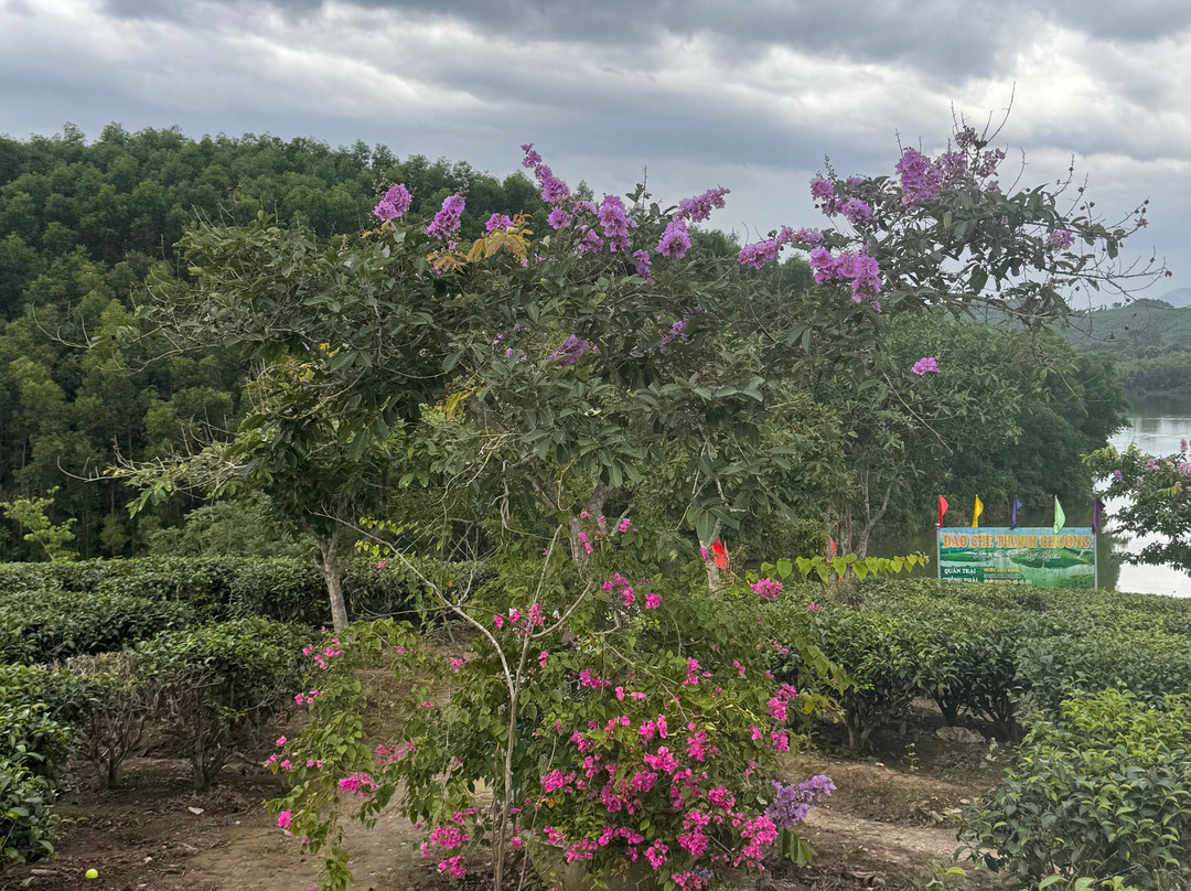 Vinh Guru Tours-荣市必去景点